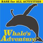 whales_adventure縺輔ｓ縺ｮ繝励Ο繝輔ぅ繝ｼ繝ｫ蜀咏悄