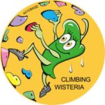 climbing_wisteria縺輔ｓ縺ｮ繝励Ο繝輔ぅ繝ｼ繝ｫ蜀咏悄