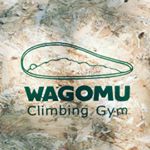 wagomu_climbing_gym縺輔ｓ縺ｮ繝励Ο繝輔ぅ繝ｼ繝ｫ蜀咏悄